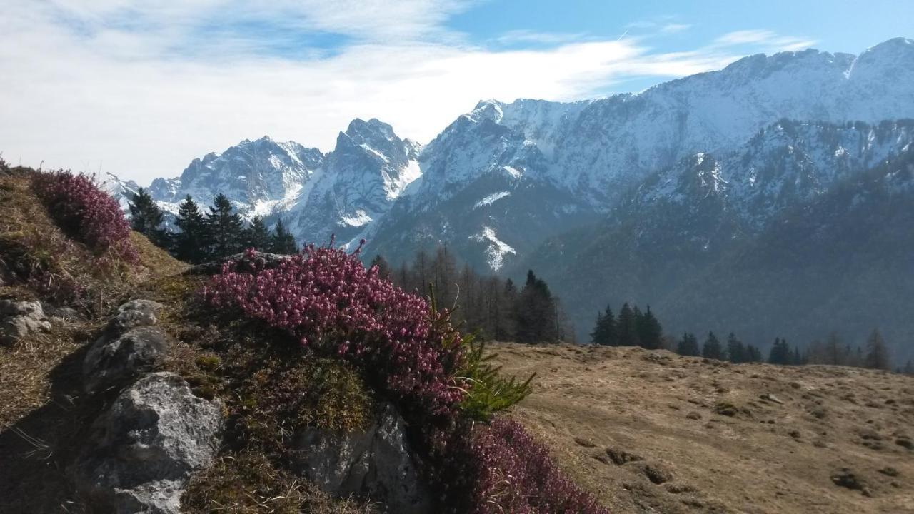 Апартаменты Haus Tirol Тирзе Экстерьер фото